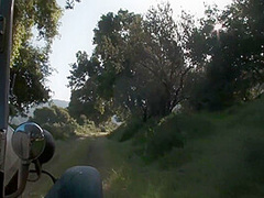 Outdooor Gangbang 12 Min With Amber Rayne, Johnny Castle And Hannah West