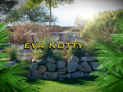 Milf On The Prowl With Johnny Sins, Eva Notty - Brazzers