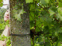 Girls of MetArt - PlayboyTV