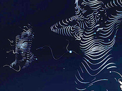 Femme Fit - PlayboyTV