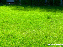 Squirt Guns And Pussy Fun - Clubsweethearts