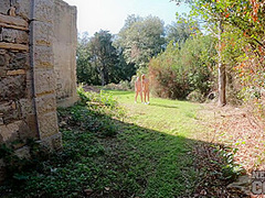Nude Kayaking And Hiking Naked Outdoors On A Deserted Adriatic Island With Mira And Kristina