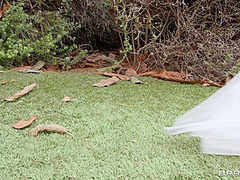 Runaway Bride Needs Dick With Keiran Lee, Jazmin Luv - Brazzers