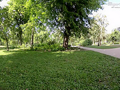 Amazing Sex Movie Outdoor Exclusive , Watch It