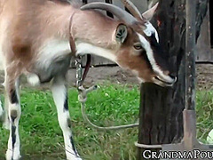 Kinky Granny Sucking Cock Outdoor And Gets Sprayed With Cum