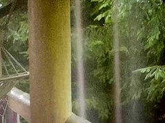 The Life Erotic - PlayboyTV