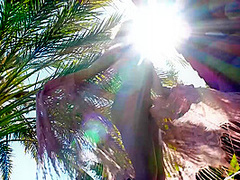 Secret Sessions - PlayboyTV