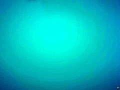 Quincy's Summer Sex-Capade With Danny D, Quincy - Brazzers