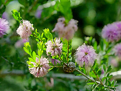 The Life Erotic - PlayboyTV