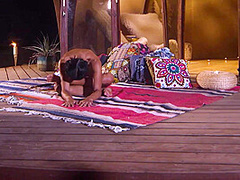 The Life Erotic - PlayboyTV