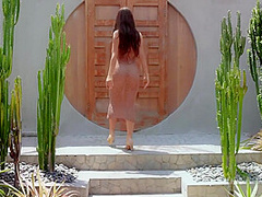 December 2024 Pet Stripteases