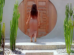 December 2024 Pet Stripteases