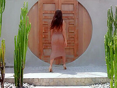 December 2024 Pet Stripteases