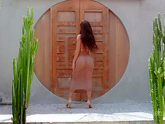 December 2024 Pet Stripteases