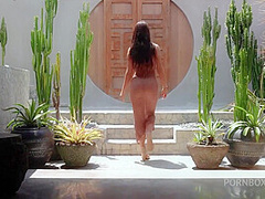 December 2024 Pet Stripteases