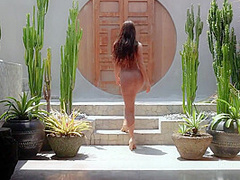 December 2024 Pet Stripteases