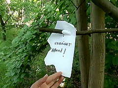 Only Fucked In Outdoors In The Woods With Claudia Rossi, Anal Fingering And Nigel Mckenna