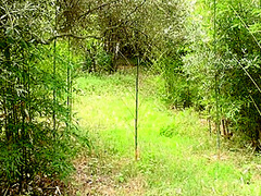 Luna Dark In Fucking Beauty