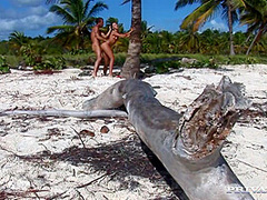 Lovely Regina on the Beach Taking a Lovers Hard Meat inside of Her - Private Porn Sex Videos