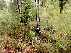 Amanda Rojas And Yenny Contreras In Latina Pussy-eating Outdoors In Jungle Insurgent Camp