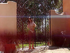 Pet of the Month December 2017