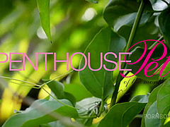 Pet of the Month May 2020