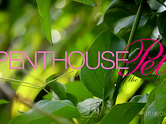 Pet of the Month May 2020