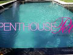 Pet of the Month May 2020