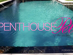 Pet of the Month May 2020