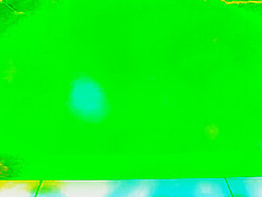 Pet of the Month May 2020