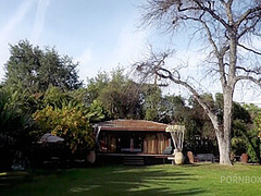 Pet of the Month May 2020