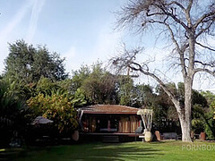 Pet of the Month May 2020