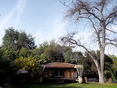 Pet of the Month May 2020