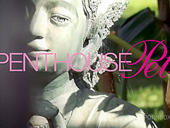 Pet of the Month May 2020