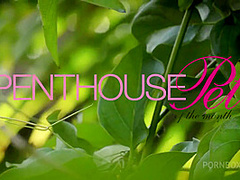 Pet of the Month May 2020