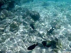 PORNLIFESTYLE Holiday Report from the Maldives - Little Caprice Dreams