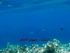 PORNLIFESTYLE Holiday Report from the Maldives - Little Caprice Dreams