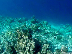 PORNLIFESTYLE Holiday Report from the Maldives - Little Caprice Dreams