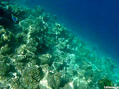 PORNLIFESTYLE Holiday Report from the Maldives - Little Caprice Dreams