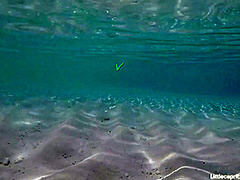 PORNLIFESTYLE Holiday Report from the Maldives - Little Caprice Dreams