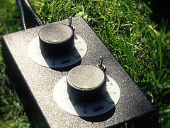 Ain't No Garden Party