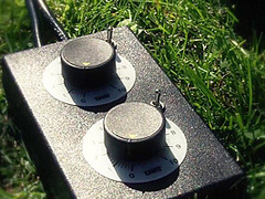 Ain't No Garden Party