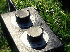 Ain't No Garden Party