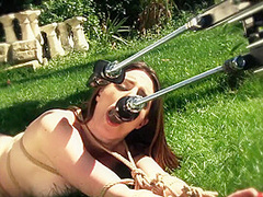 Ain't No Garden Party