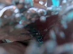 Marie Fox, Allison Grady And Bella Bare In Bbc Sharks In The Pool