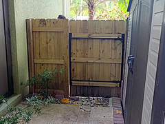 Kailani Kai And Johnny Love In Johnny Plays Sneak-a-poke With Hot Milf Part1