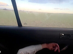 A fair-haired female traveler accepted a ride and subsequently engaged in a provocative sexual encounter within the veh