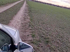 A fair-haired female traveler accepted a ride and subsequently engaged in a provocative sexual encounter within the veh