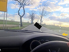 A fair-haired female traveler accepted a ride and subsequently engaged in a provocative sexual encounter within the veh