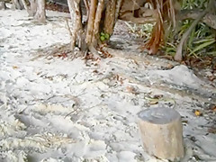 Crazy homemade Beach, Amateur porn movie